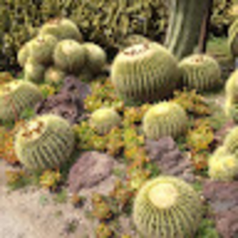 Meet your Posher, Virginia